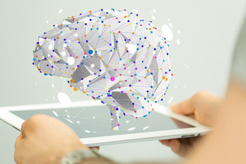 如何理解一体化国家战略体系和能力的构建？