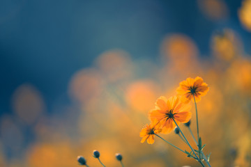 电瓶车充电一晚上有事吗？