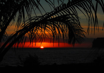 千年圆梦在今朝的理解