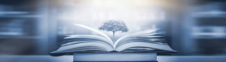 四年级数学手抄报内容简短,清楚