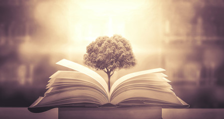 四年级数学手抄报内容简短,清楚