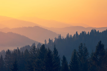 上海市奉贤区博物馆建筑工程介绍？