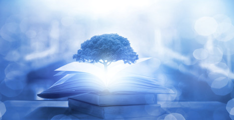 集体意识和集体无意识