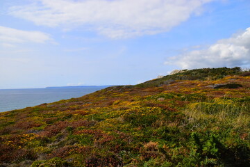 二手金杯大海狮9座如何