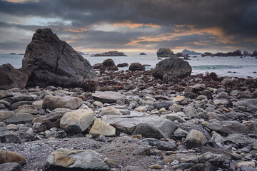 6年级必读的课外书有哪些