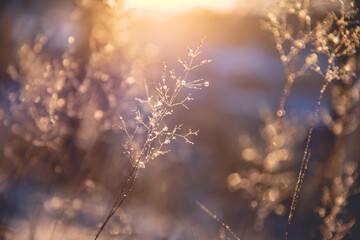 上海市奉贤区博物馆建筑工程介绍？