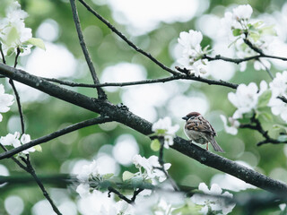 集体意识和集体无意识