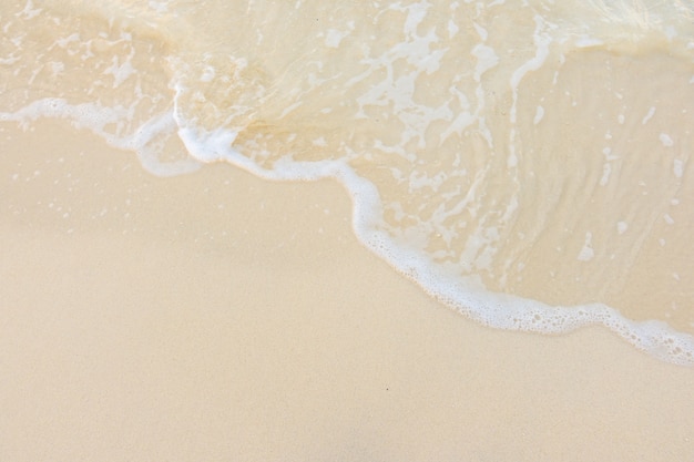 集体意识和集体无意识