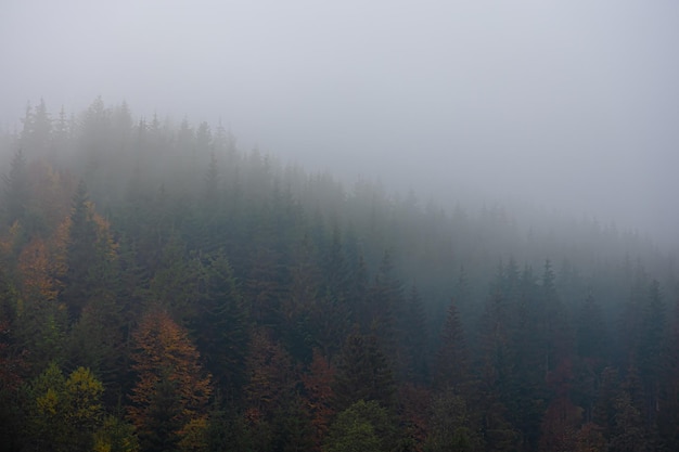 如何理解一体化国家战略体系和能力的构建？