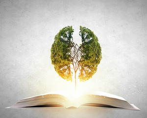 上海市奉贤区博物馆建筑工程介绍？