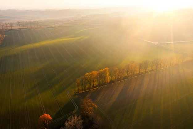 生物冷知识科普