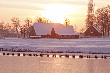 集体意识和集体无意识